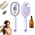 Electric Spray Air Cushion Massage Comb, Rechargeable Mist Detangling Brush for Frizzy Hair