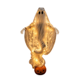 Swirling Ghost Pumpkin Yard Lamp, LED Halloween Ghost Glow Pumpkin Decor
