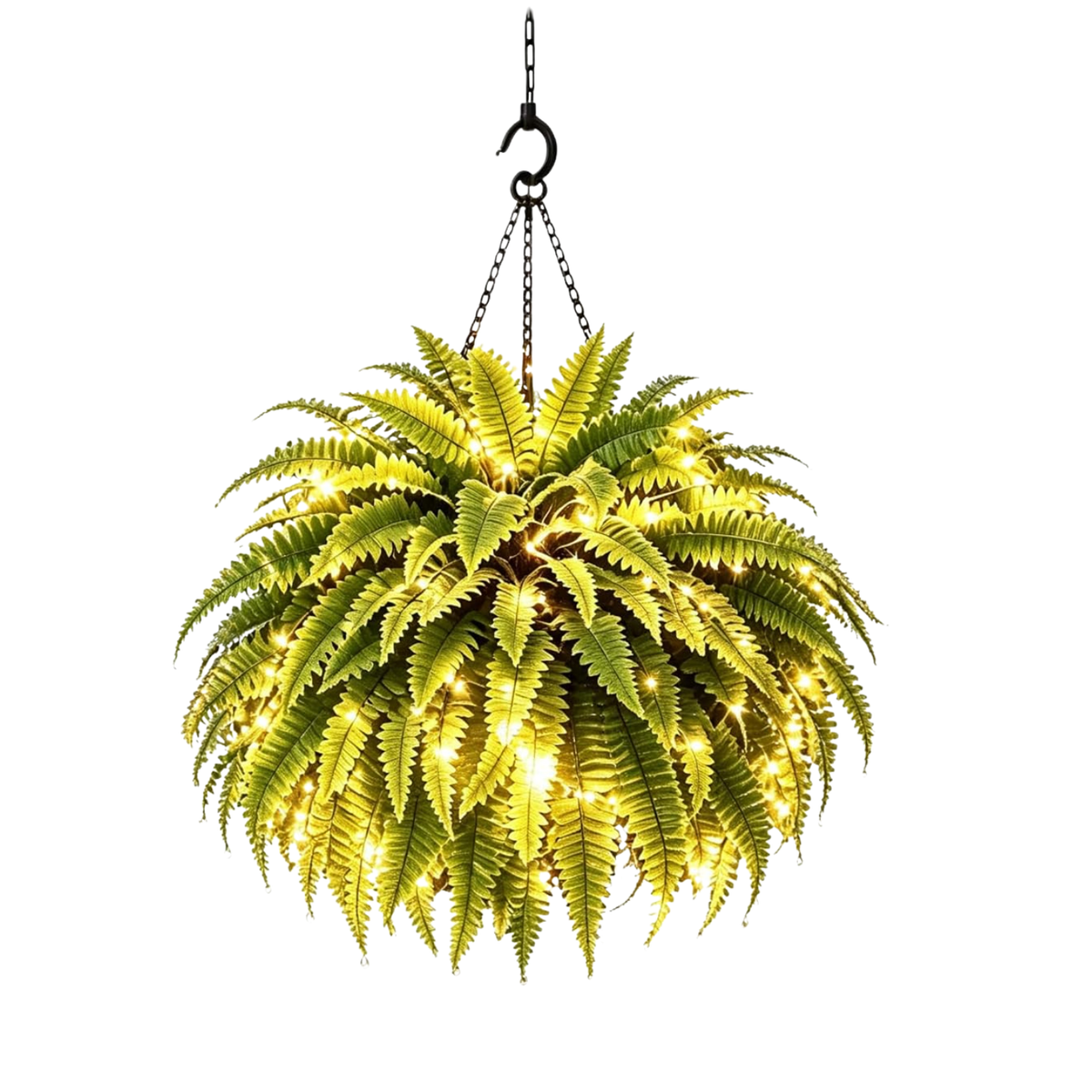 Glowing Boston Ferns with Lights, twinkling tree enchanted evergreen pine