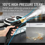 2500W Handheld High Pressure Steam Cleaner for Car Detailing, Kitchen, Grout Cleaning