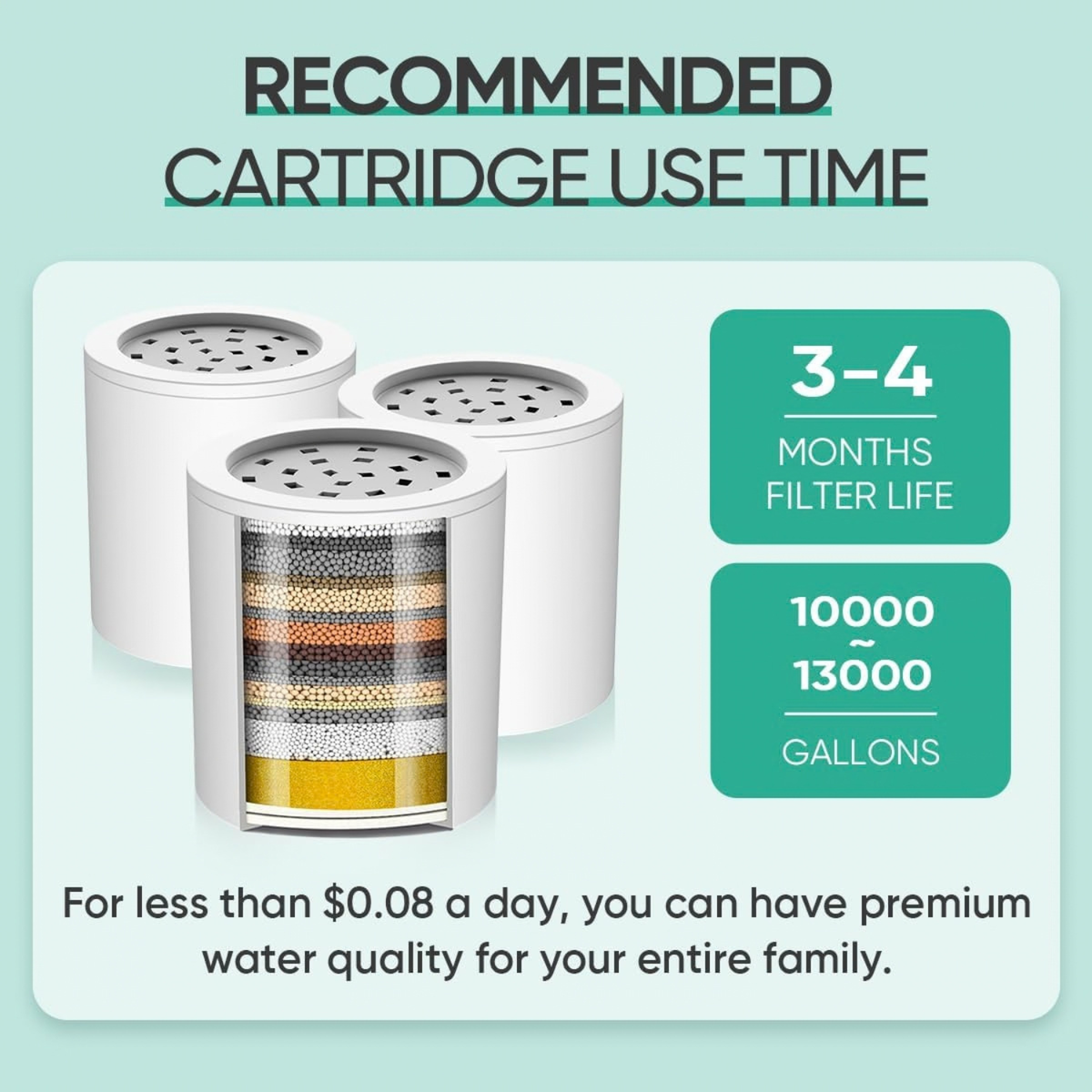 High Pressure Filtered Shower Head Combo + 1 Pack Replaceable Cartridges（Matte Black)