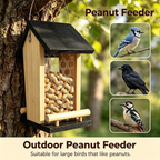 Solid Wood Crow Peanut Feeder, Hanging Outdoor Birds & Squirrels
