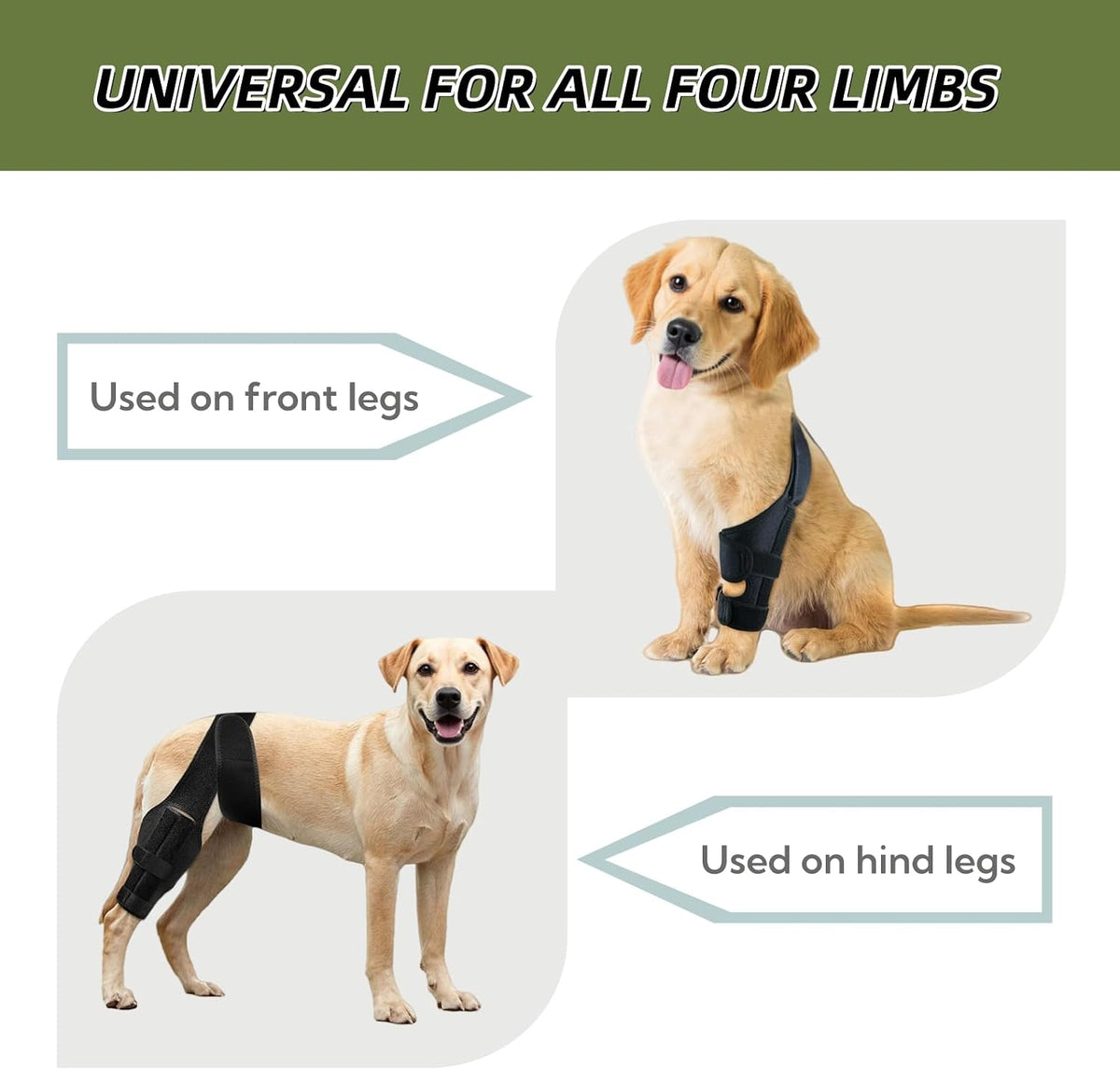 Adjustable Dog Knee Brace for ACL Injuries, Rear Leg Support for Arthritis & Hip Dysplasia, Large