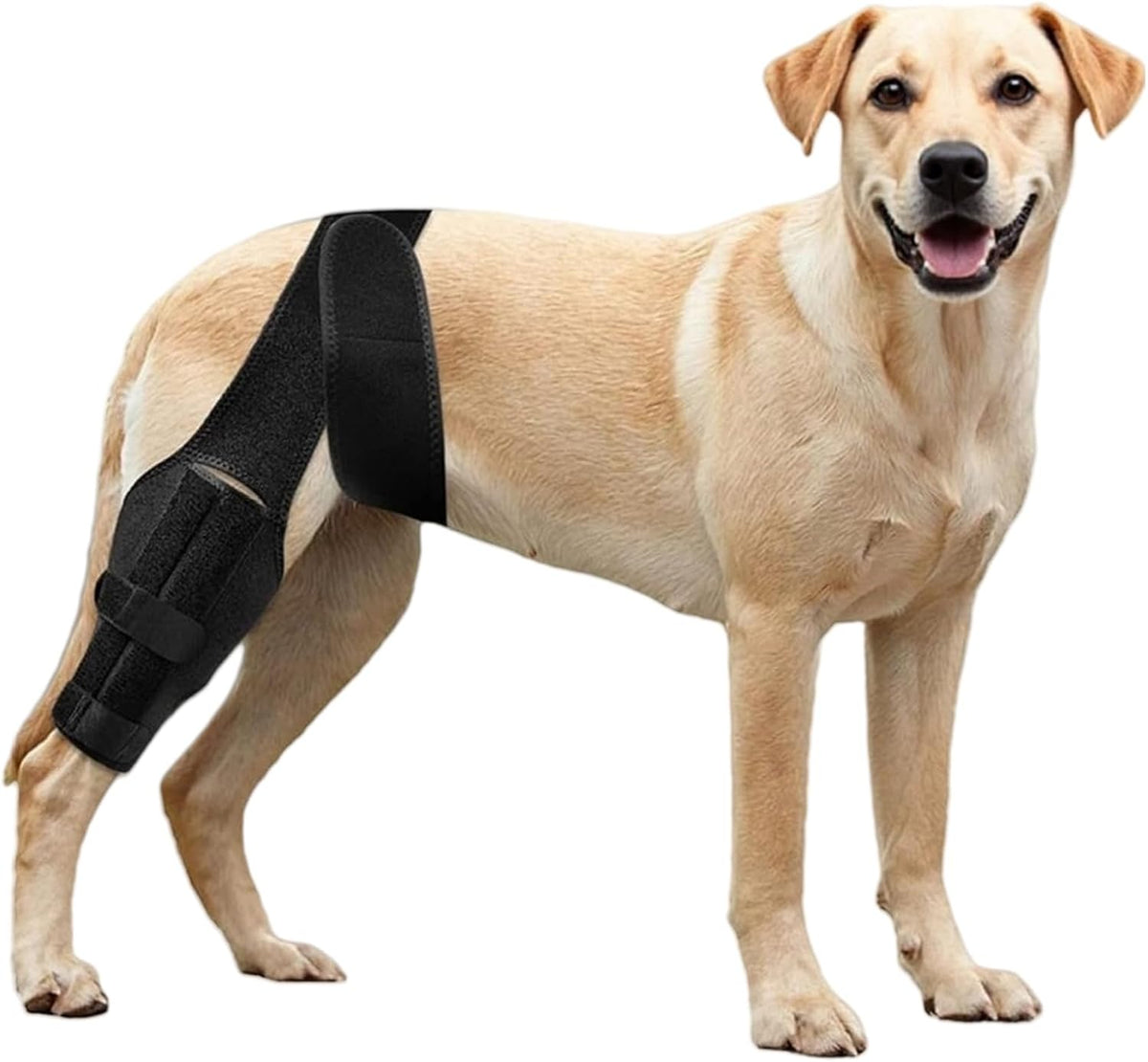 Adjustable Dog Knee Brace for ACL Injuries, Rear Leg Support for Arthritis & Hip Dysplasia, Large