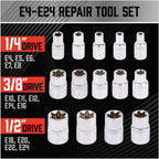 14-Piece E-TORX Socket Set – Premium Female Torx Star Bit Socket Set (E4-E24), 1/4", 3/8" & 1/2" Drive External Torx Sockets, Drop Forged Heat Treated Cr-V Steel with Blow Molded Storage Case