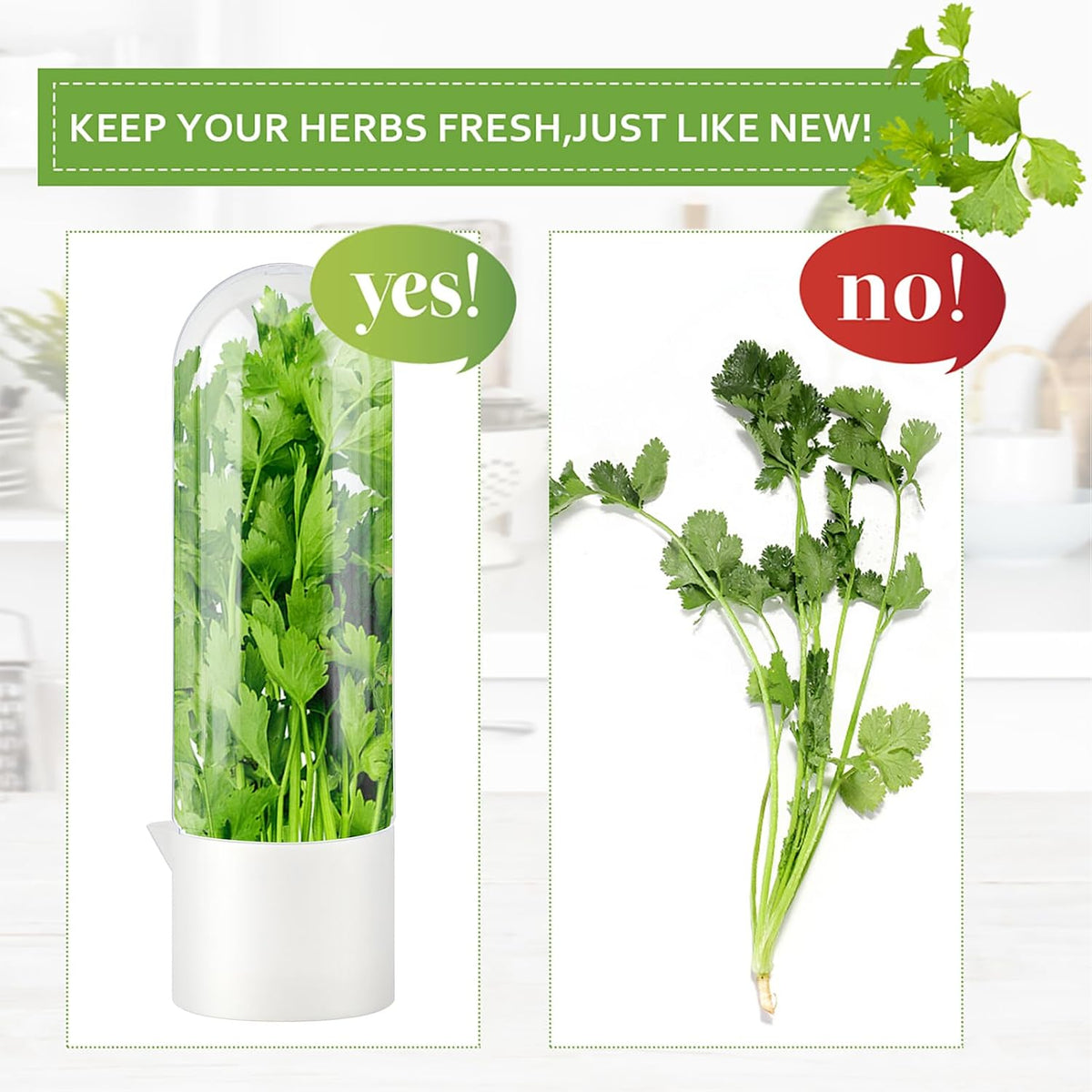 3 Pack Herb Saver for Refrigerator with 5-Blade Herb Scissors Fresh Herb Keeper Clear Preservation Bottle Cilantro Storage Container for Herbs Asparagus Mint Parsley Extends Freshness