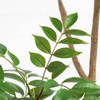 5ft. Artificial Pieris Tree