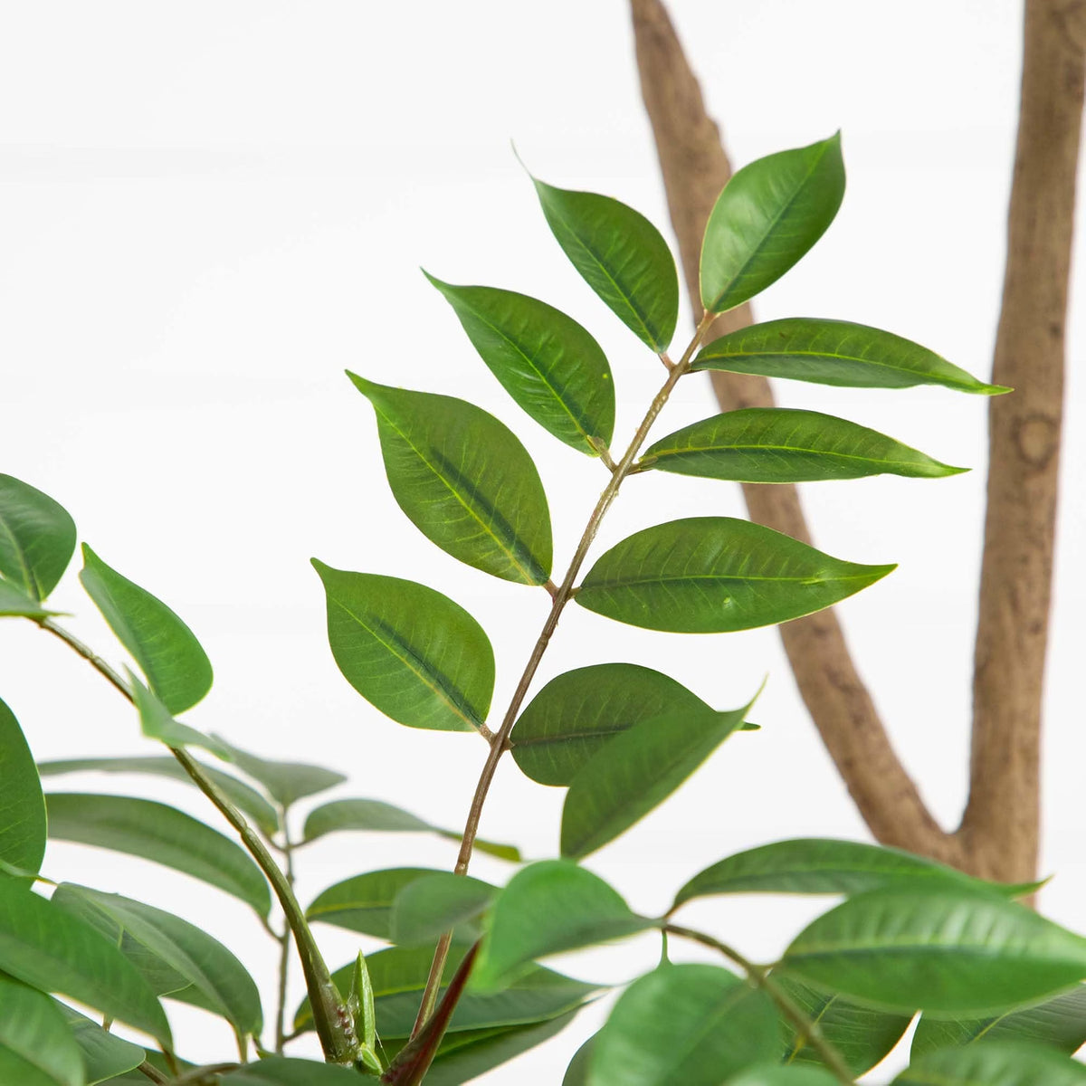 5ft. Artificial Pieris Tree