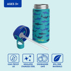 Kids Stainless Steel Water Bottle, Replacement Straws Set