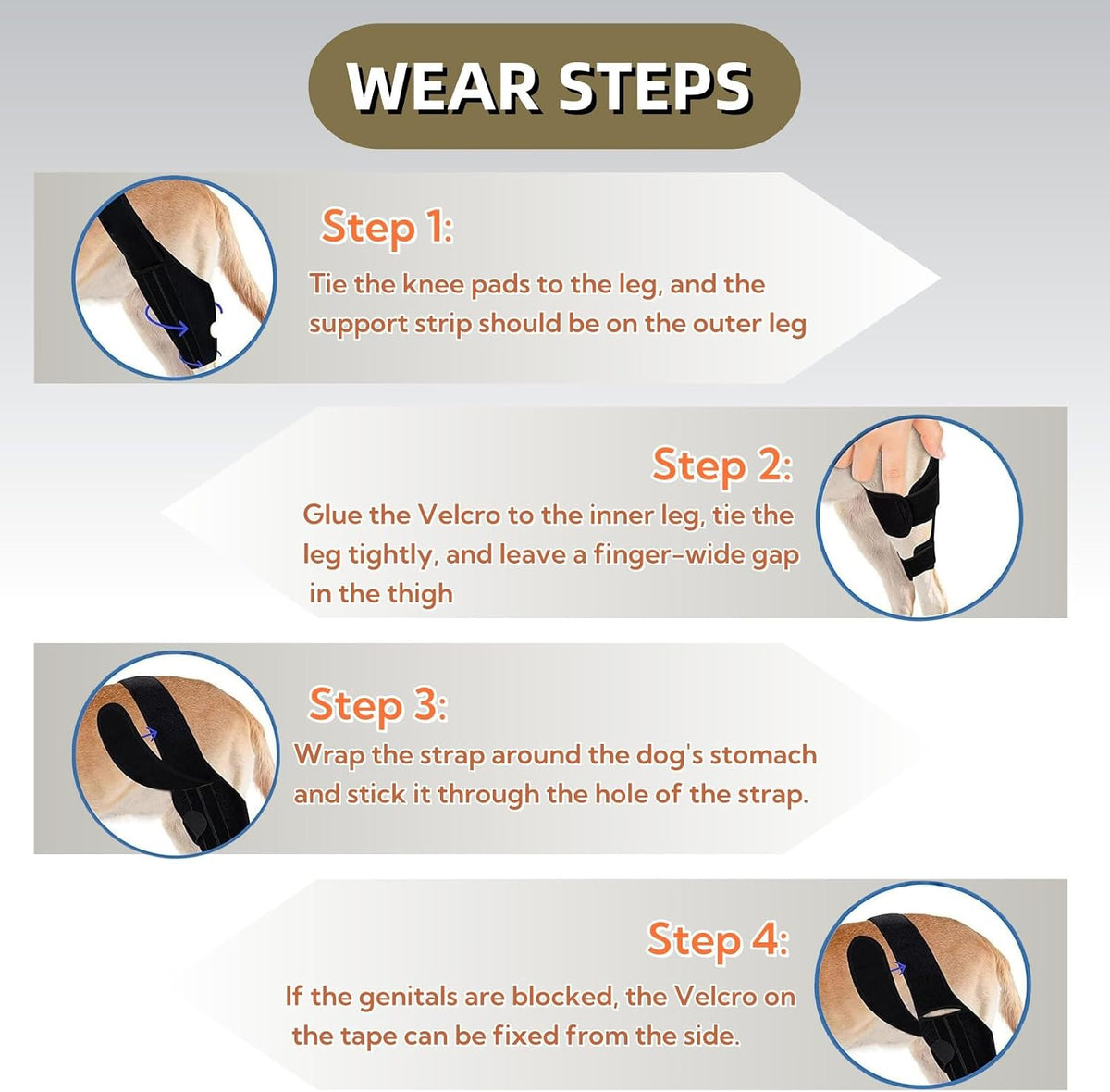 Adjustable Dog Knee Brace for ACL Injuries, Rear Leg Support for Arthritis & Hip Dysplasia, Large