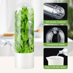 3 Pack Herb Saver for Refrigerator with 5-Blade Herb Scissors Fresh Herb Keeper Clear Preservation Bottle Cilantro Storage Container for Herbs Asparagus Mint Parsley Extends Freshness