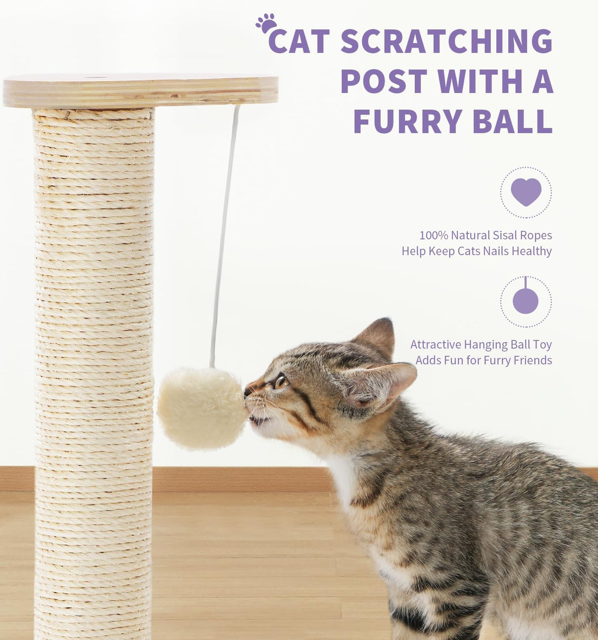 Made4Pets Kitten Scratching Post, Indoor Cat Toy with Ball Track