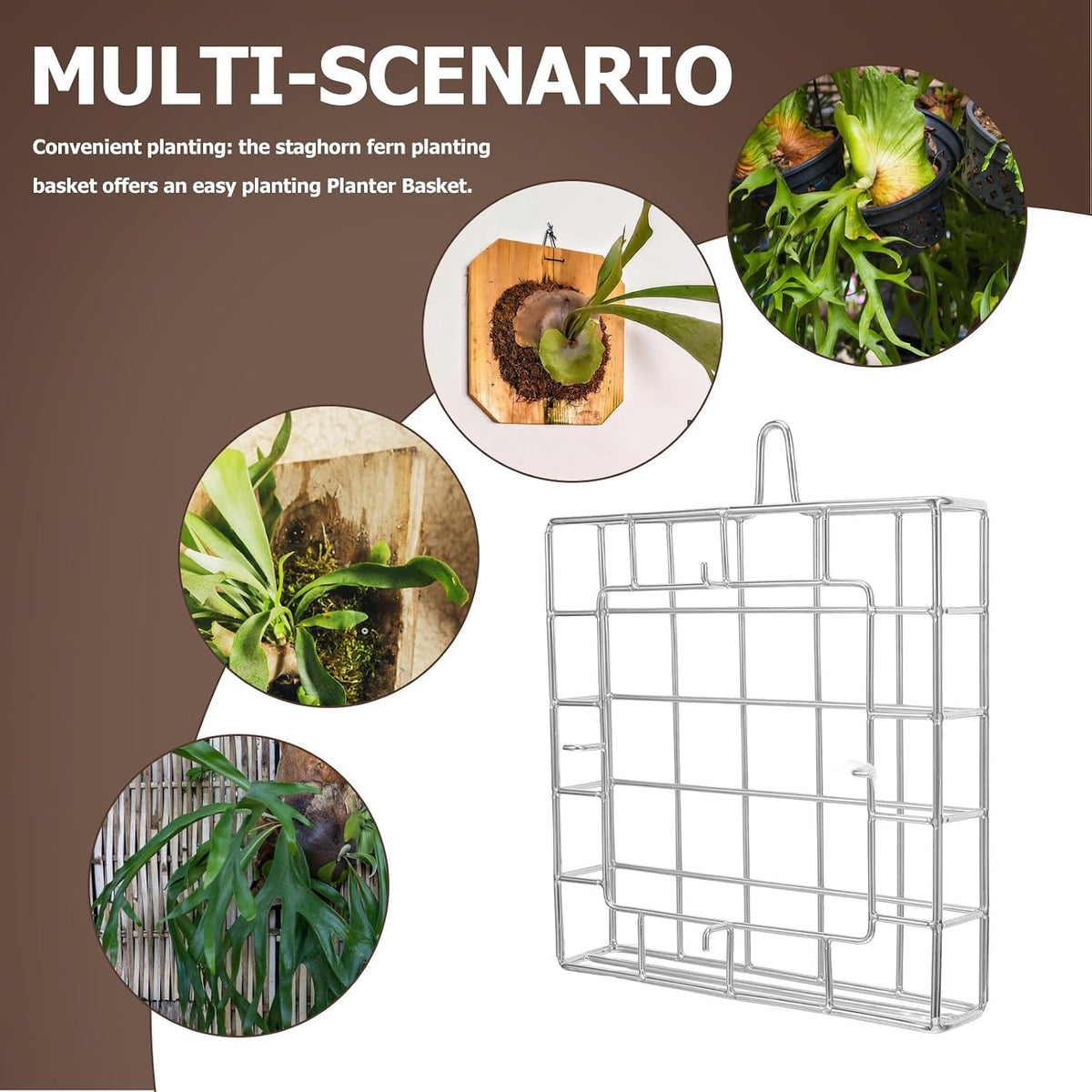 Stainless Steel Wall Plant Holder Frame for Moss and Ferns, Metal Hanging Flower Basket with Versatile Application and Space Saving Display, for Balcony and Garden Use