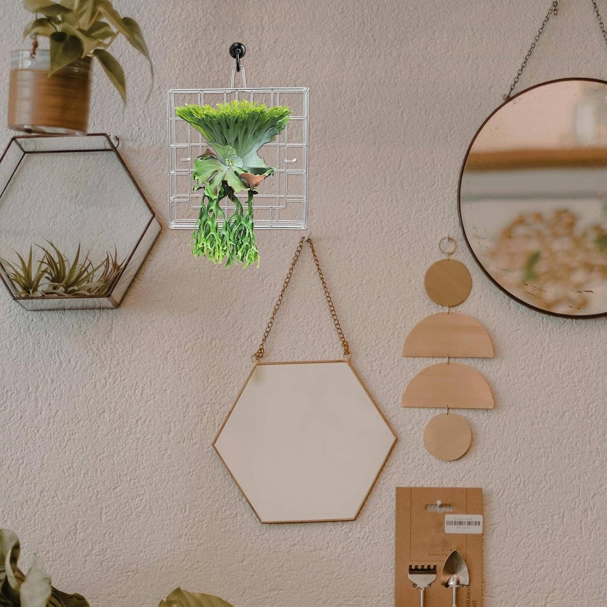 Stainless Steel Wall Plant Holder Frame for Moss and Ferns, Metal Hanging Flower Basket with Versatile Application and Space Saving Display, for Balcony and Garden Use
