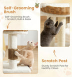 17.7" Modern Cat Tree, Basket Bed with Scratching Post for Small Cats