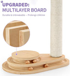 Made4Pets Kitten Scratching Post, Indoor Cat Toy with Ball Track