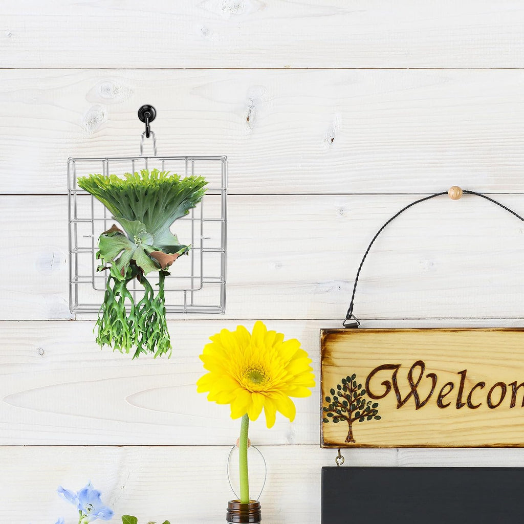 Stainless Steel Wall Plant Holder Frame for Moss and Ferns, Metal Hanging Flower Basket with Versatile Application and Space Saving Display, for Balcony and Garden Use