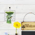 Stainless Steel Wall Plant Holder Frame for Moss and Ferns, Metal Hanging Flower Basket with Versatile Application and Space Saving Display, for Balcony and Garden Use