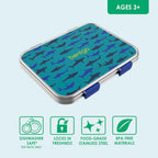 Kids Stainless Steel Lunch Box and Water Bottle Set