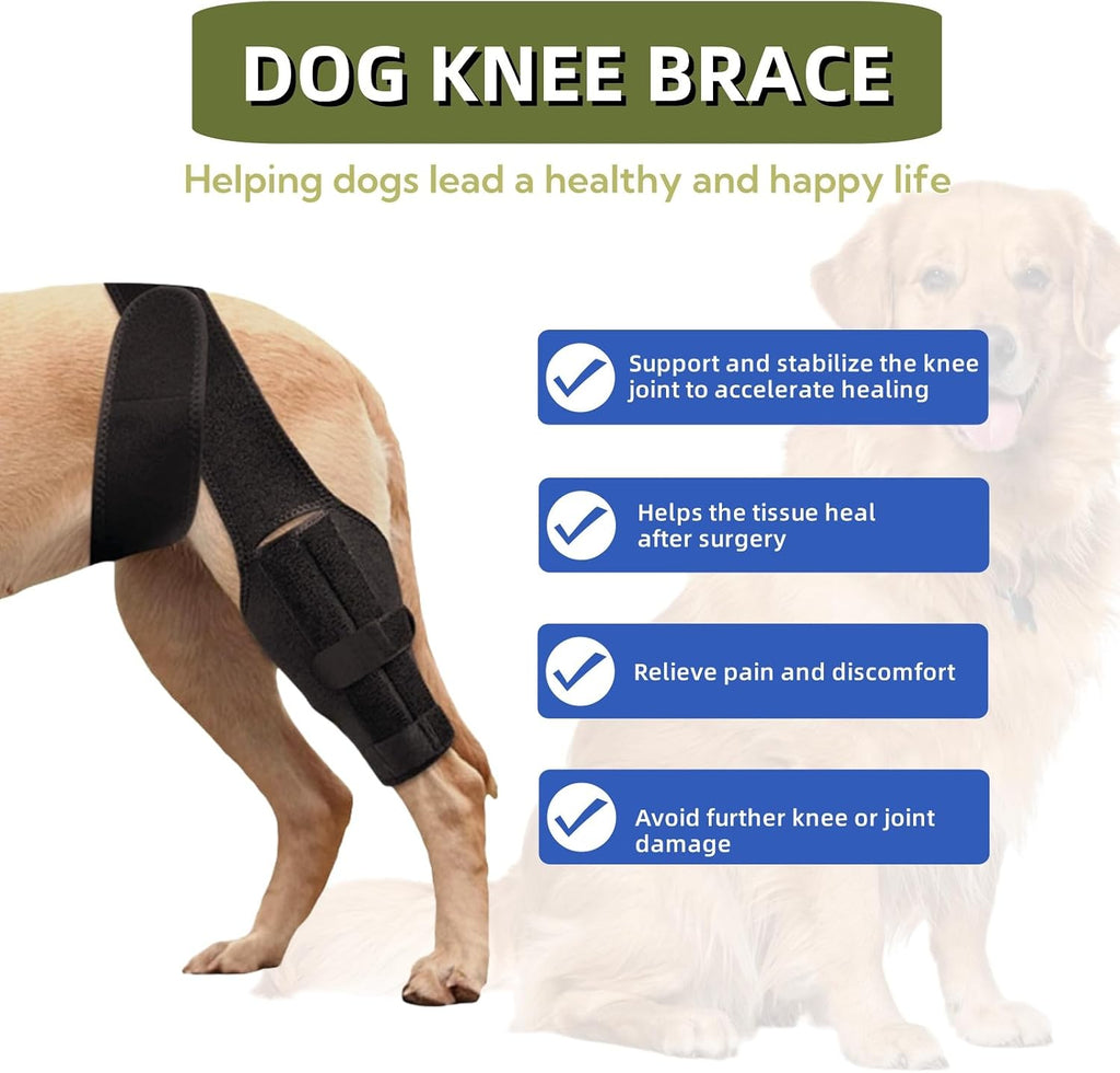 Adjustable Dog Knee Brace for ACL Injuries, Rear Leg Support for Arthritis & Hip Dysplasia, Large