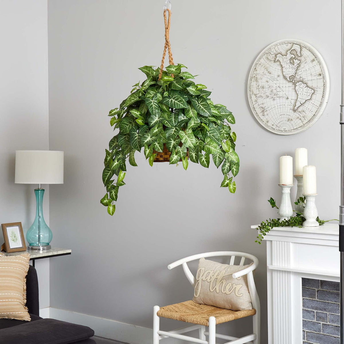 Nephthytis Hanging Basket