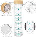 32 oz Borosilicate Glass Water Bottle with Straw, Time Marker & Bamboo Lid