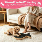 Dog Nail Scratch Board, Dog Scratch Board with Treat Box