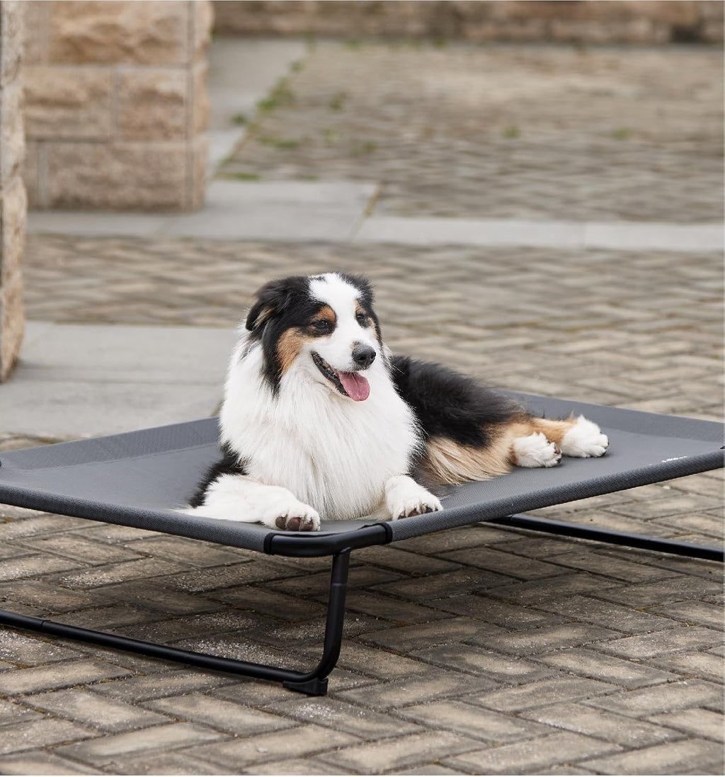 Made4Pets Elevated Dog Bed, 42 x 28" Raised Cot for Large Do