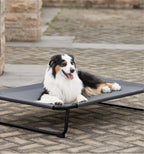 Made4Pets Elevated Dog Bed, 42 x 28" Raised Cot for Large Do