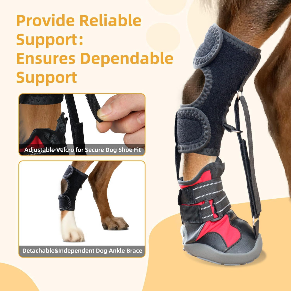 Dog Strap-On Drop Foot Orthotics, Knuckleless Boot for Toe Lift & Gait Support, Arthritis Relief, Medium