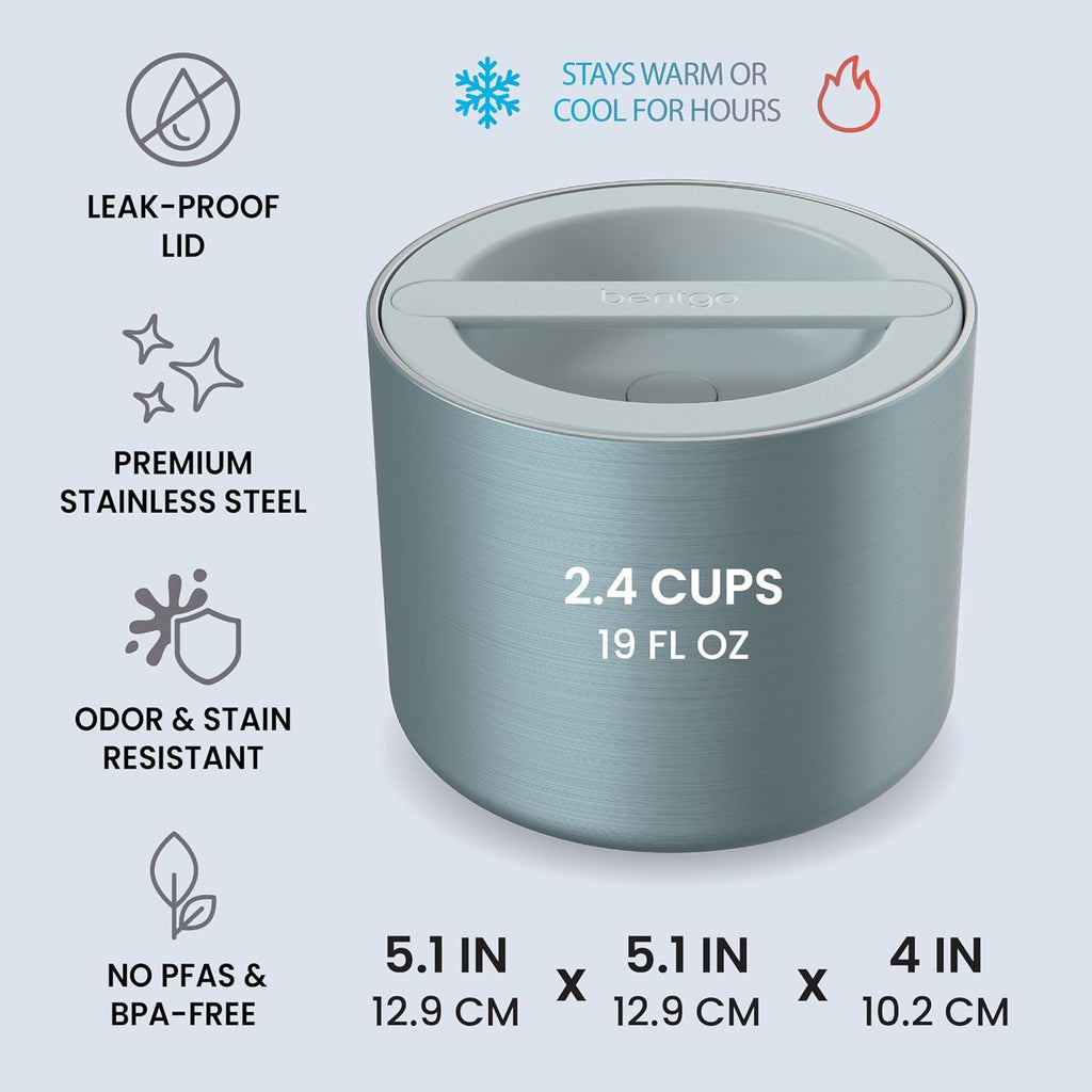 Stainless Steel Insulated Food Container, Leak-Proof, 19 fl oz