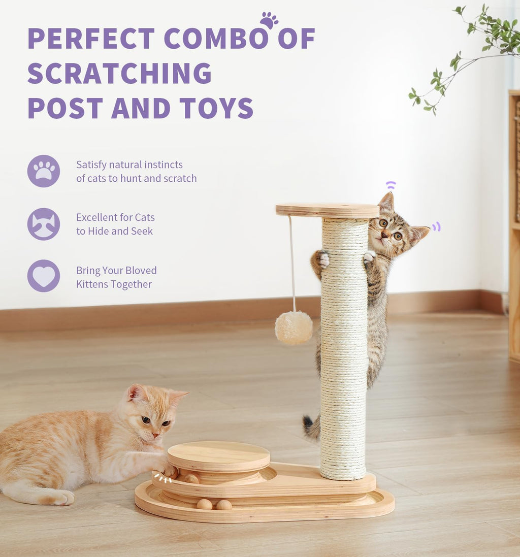 Made4Pets Kitten Scratching Post, Indoor Cat Toy with Ball Track