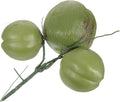 Artificial Coconuts Fake Fruit Photo Props for Farmhouse Decorations Tropical Creative Simulated Coconut Ornaments Luau Theme Decorations