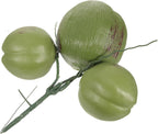 Artificial Coconuts Fake Fruit Photo Props for Farmhouse Decorations Tropical Creative Simulated Coconut Ornaments Luau Theme Decorations