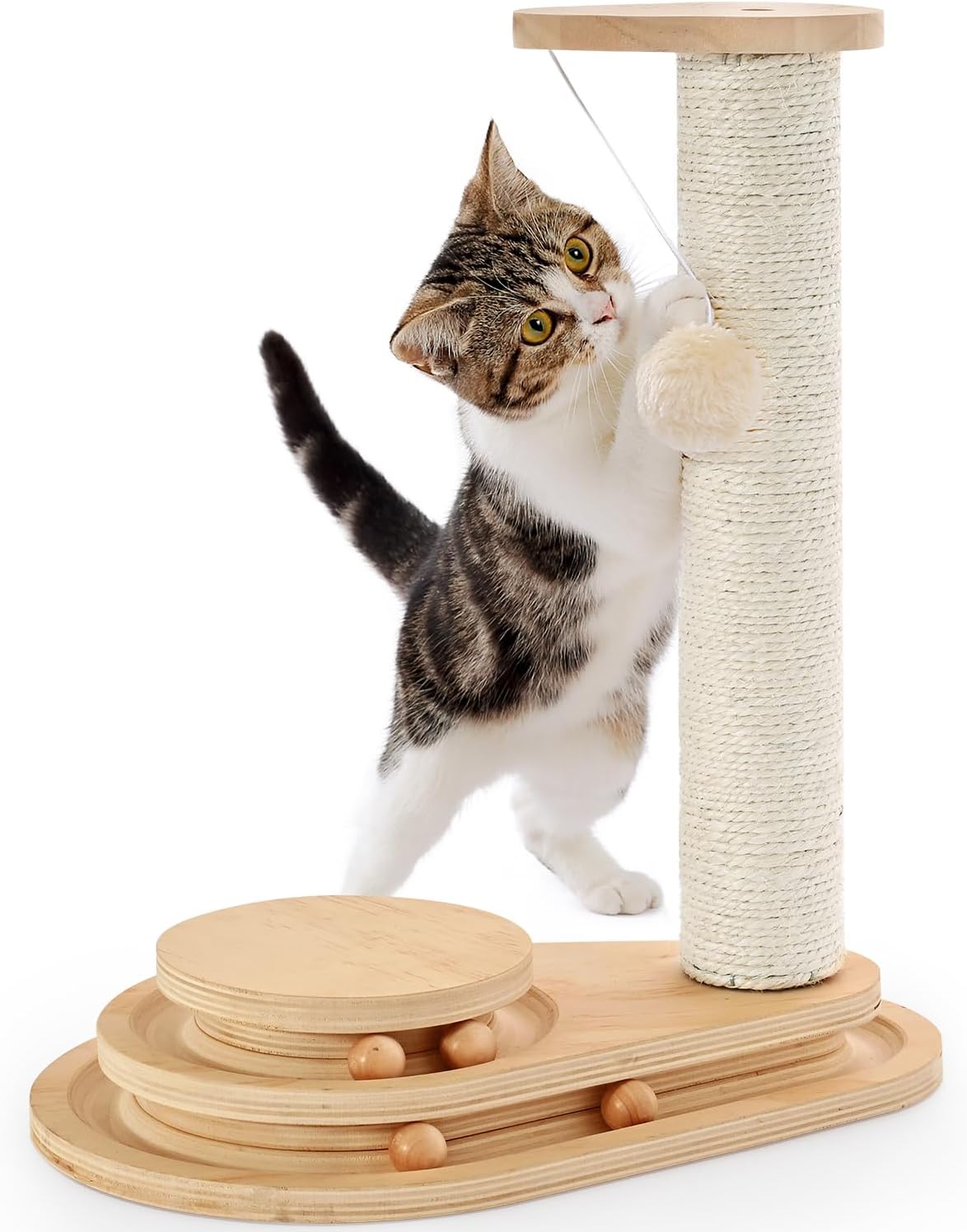 Made4Pets Kitten Scratching Post, Indoor Cat Toy with Ball Track