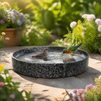 Stone Bird Bath Bowl, 10-Inch Heavy Duty Outdoor Bird Feeder