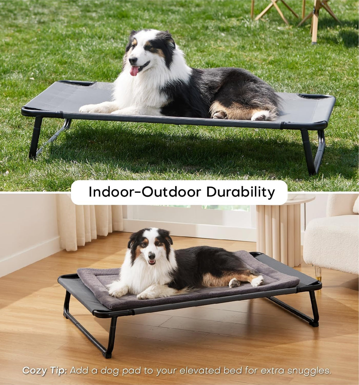 Made4Pets Elevated Dog Bed, 42 x 28" Raised Cot for Large Do