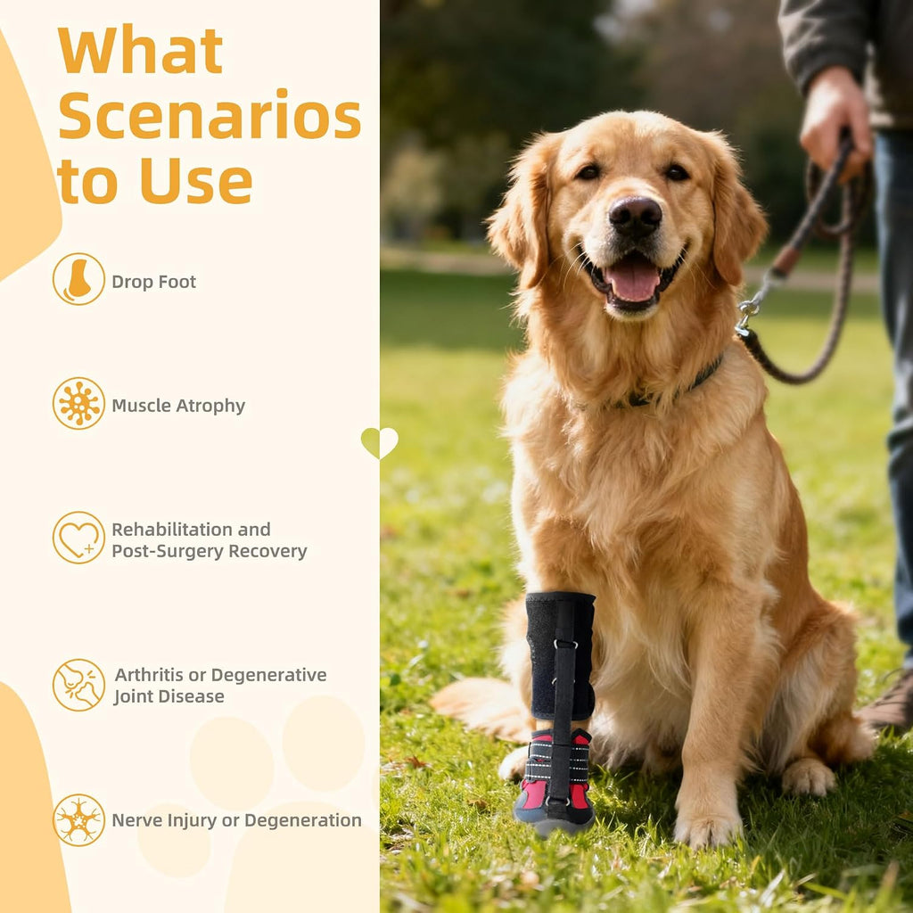 Dog Strap-On Drop Foot Orthotics, Knuckleless Boot for Toe Lift & Gait Support, Arthritis Relief, Medium