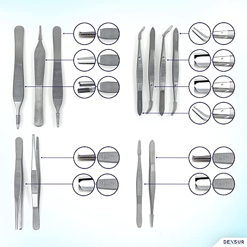 160-Piece Dissecting Kit, Stainless Steel Anatomy Instruments Set for Medical & Veterinary Training