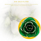 Gugxiom Gold Dipped Rose, Long Lasting Green Forever Bloom, Unique Decor Roses for Valentines Day, Mothers Day, Weddings, Anniversaries Etc.