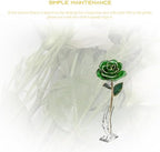 Gugxiom Gold Dipped Rose, Long Lasting Green Forever Bloom, Unique Decor Roses for Valentines Day, Mothers Day, Weddings, Anniversaries Etc.