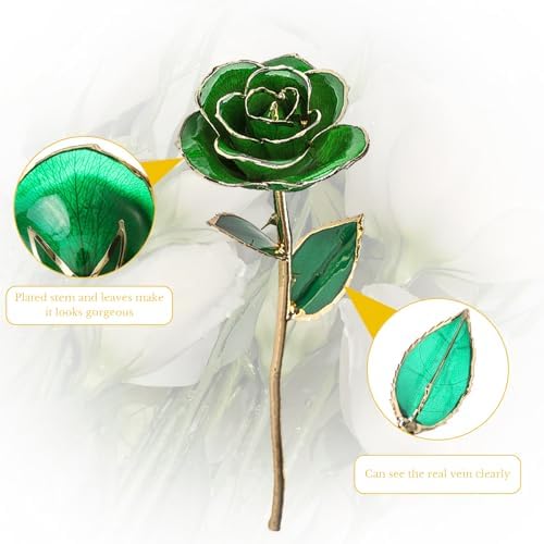 Gugxiom Gold Dipped Rose, Long Lasting Green Forever Bloom, Unique Decor Roses for Valentines Day, Mothers Day, Weddings, Anniversaries Etc.