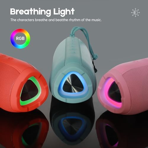 20W Portable Bluetooth Speaker, IPX6 Waterproof