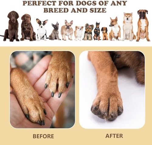 Dog Nail Scratch Board - 3 in 1 Dog Scratch Pad for Nails with Treat Box