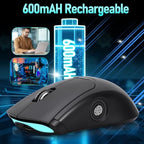 Gugxiom Wireless Computer Mouse with Fingerprint Reader (Gray)