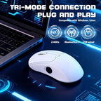 Gugxiom Wireless Computer Mouse with Fingerprint Reader (White)