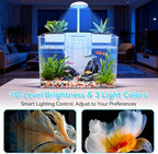 Small Turtle Tank Kit, Acrylic Turtle Starter Kit with Adjustable Lamp & Filter, Plastic Aquarium, for Turtles Crabs Crayfish Small Reptiles (with Light)