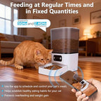 6L Automatic Cat Feeder, Cat Automatic Feeder with Camera, 180° Wide Angle 2MP & Two-Way Talk Feature & Voice Recording & 5GHz 2.4GHz WiFi