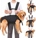 Dog Lift Harness Carrier, Large