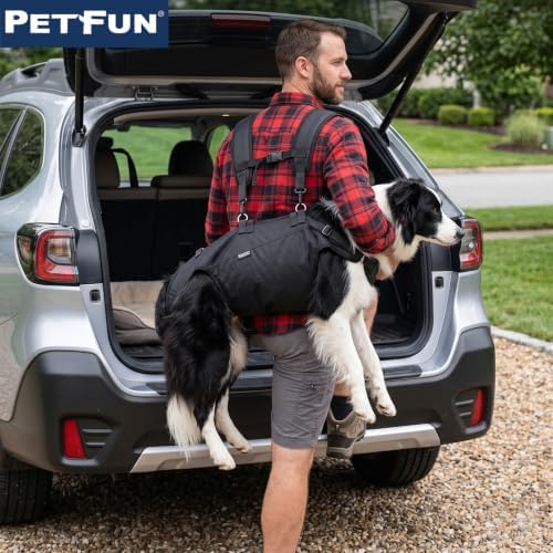 Dog Lift Harness Carrier, Large